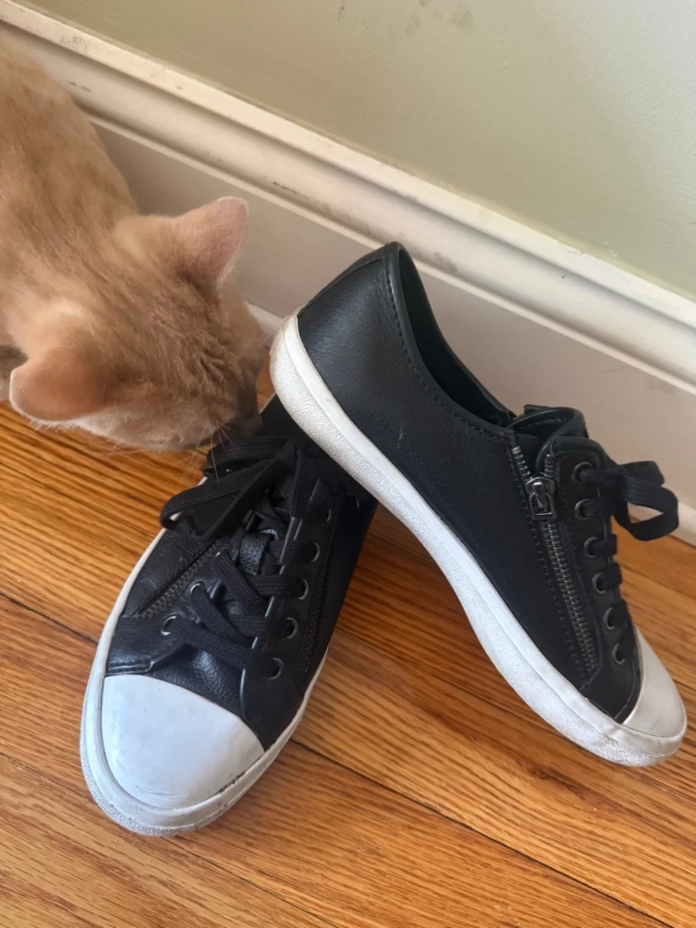 Coach Black Leather Low-Top Sneakers with White Toe Caps - Picture 1 of 5